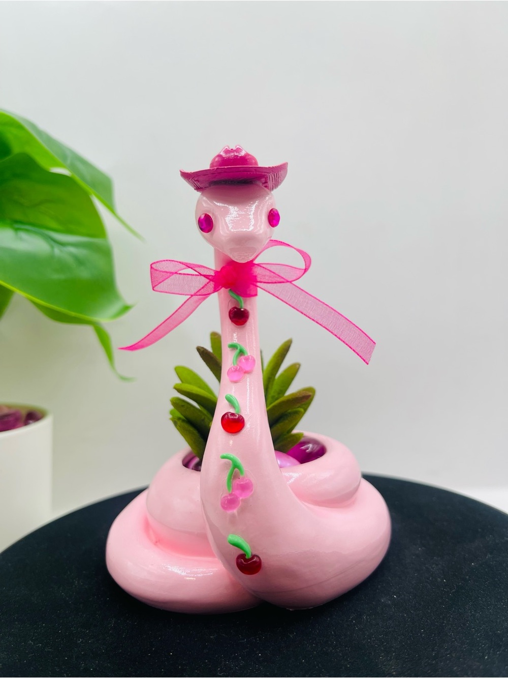 Cherry Belle Cowgirl - Pink Snake Planter for Succulents and Plants!